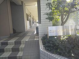 6 / 15