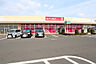 周辺：ダイソー　ヨークタウン結城店　約1200m