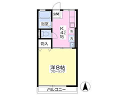 シティハイムメゾンドール 1Kの間取図画像