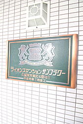 5 / 24