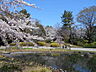 周辺：中野区立 哲学堂公園まで170ｍ