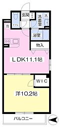 アカシアコート 1LDKの間取図画像