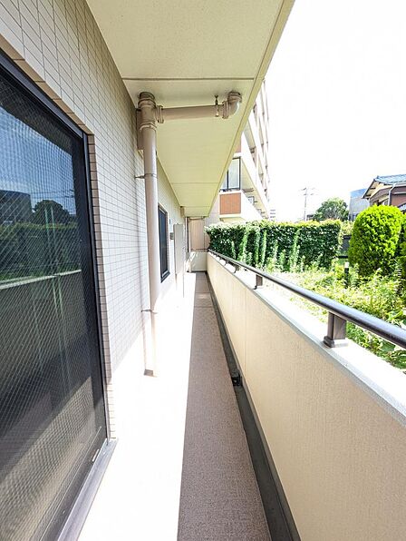 (撮影日:2026年7月26日)