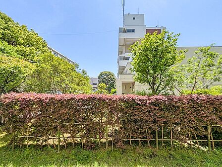 陽光が差し込むバルコニーからの眺め 。敷地内の豊かな植栽が、日々の暮らしに安らぎと彩りを添えてくれます。
