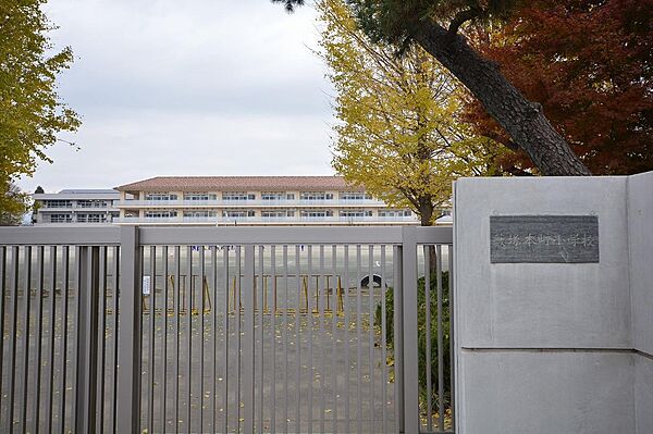 画像4:藪塚本町小学校(600m)