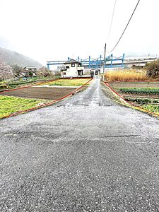 外観:前面道路より左右の土地が対象地です 外観:前面道路より左右の土地が対象地です