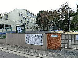 [周辺] 横浜市立東台小学校まで551m