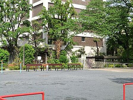周辺環境:一ツ木公園