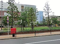周辺環境:プラタナス公園