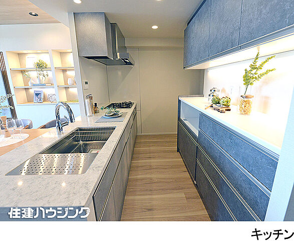 キッチン クレヴィア新宿中落合ＥＡＳＴ 7階/-