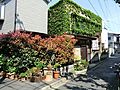 新井町医院