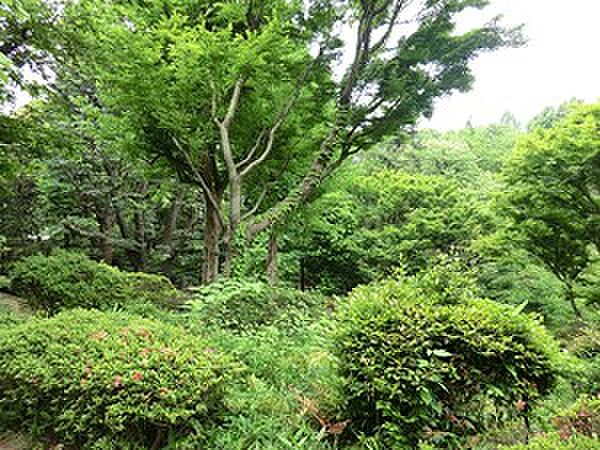 周辺 まんしょん早稲田 6階/-