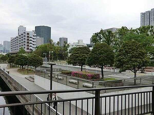 周辺を拡大表示