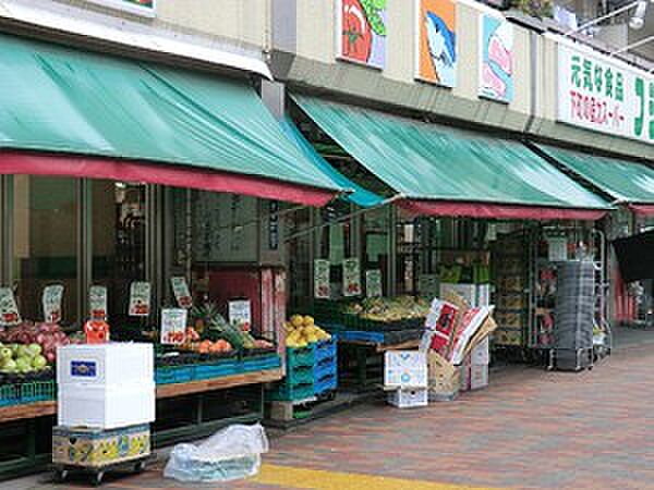 周辺 ベイシティ晴海スカイリンクタワー 3階/-