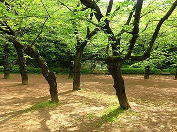 周辺を拡大表示