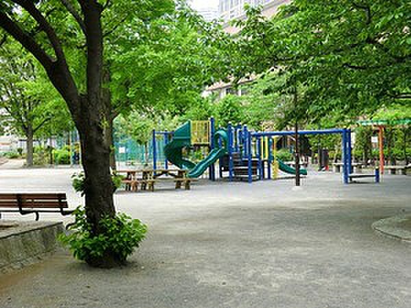 周辺を拡大表示