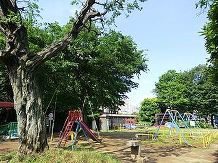 諏訪の森公園