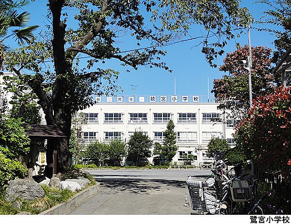 周辺を拡大表示