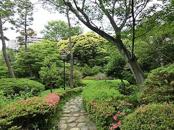 周辺を拡大表示
