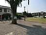 周辺：北烏山三丁目公園