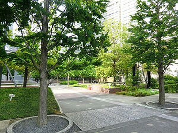周辺を拡大表示