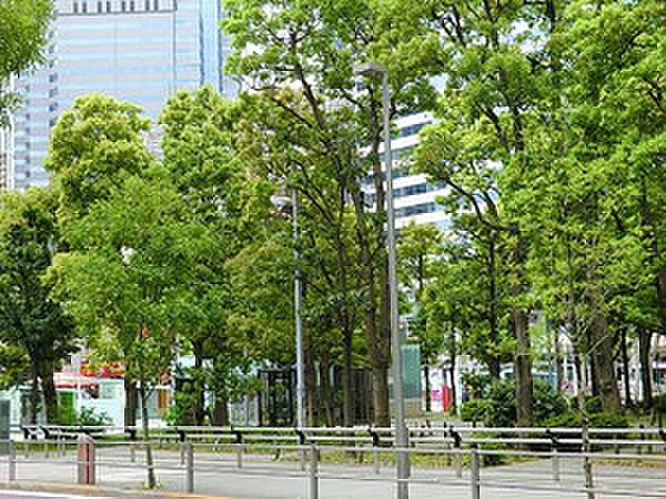 周辺を拡大表示