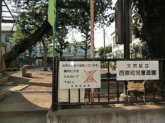 周辺環境:西原...