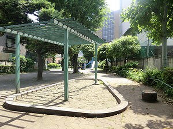 周辺を拡大表示