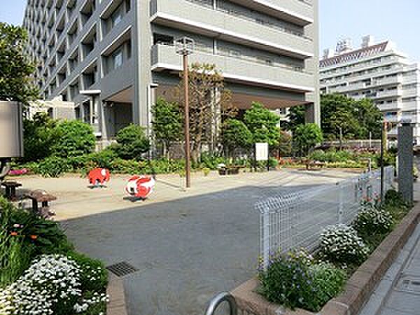 周辺を拡大表示