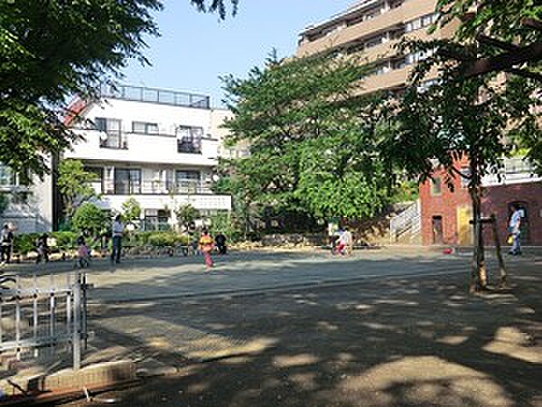 周辺を拡大表示