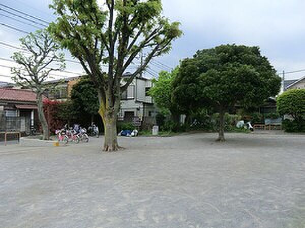 周辺を拡大表示