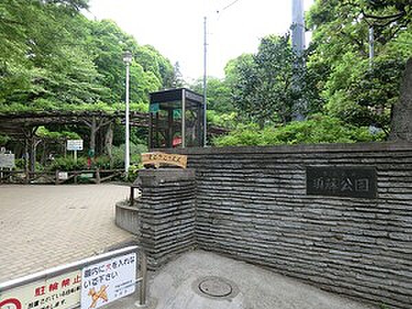 周辺を拡大表示