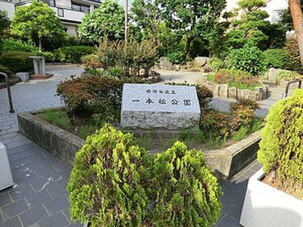 周辺を拡大表示