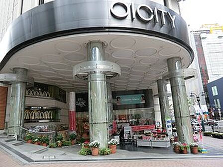 周辺環境:丸井シティ渋谷