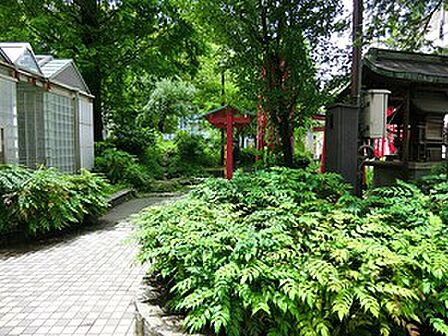 周辺環境:佐久間公園