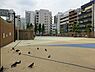 周辺：大久保公園