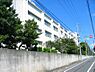 周辺：【大学】三軒茶屋　昭和女子大学まで567ｍ