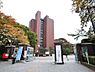 周辺：【大学】日本大学文理学部まで3242ｍ