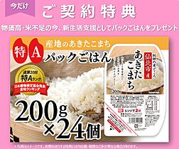 CapitalHills岩槻 201 ｜ 埼玉県さいたま市岩槻区本町２丁目1-25（賃貸アパート1K・2階・21.50㎡） その17