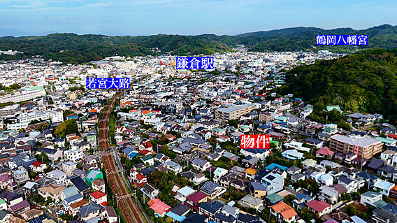 上空からの現地...