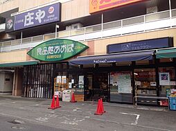 [周辺] 食品館あおば 弘明寺店　550m　京急線弘明寺駅徒歩1分。お出かけやお仕事帰りに寄りやすい立地です。新鮮な野菜や鮮魚が揃っています。 
