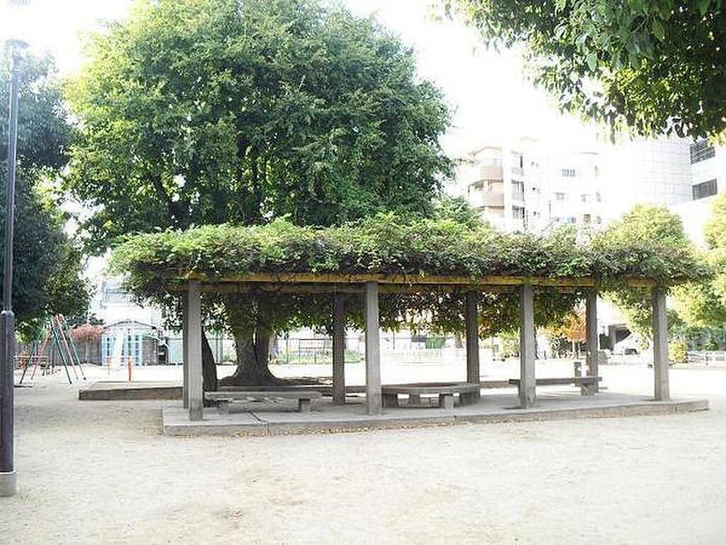 Image 12