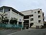 周辺：横浜市立森中学校まで1100m