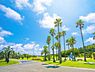 周辺：辻堂海浜公園まで1100m