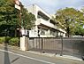 周辺：横浜市立新石川小学校まで500m