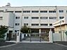 周辺：横浜市立新橋小学校まで800m