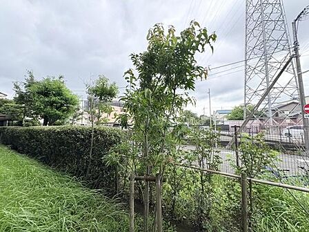 バルコニーからの眺望です！人通りが少ないので視線があまり気にならないです♪