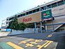 周辺：横浜四季の森フォレオまで1100m