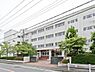 周辺：横浜市立新田中学校まで900m