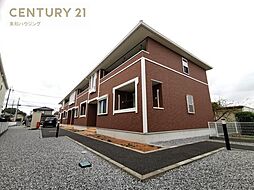 サンシャイン　サンフラワー